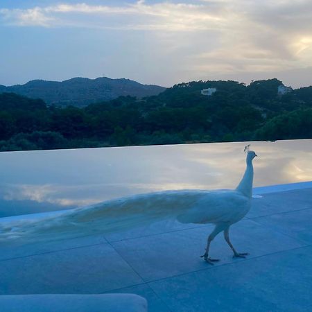 Ano Kampos Hotel Faliraki Bagian luar foto