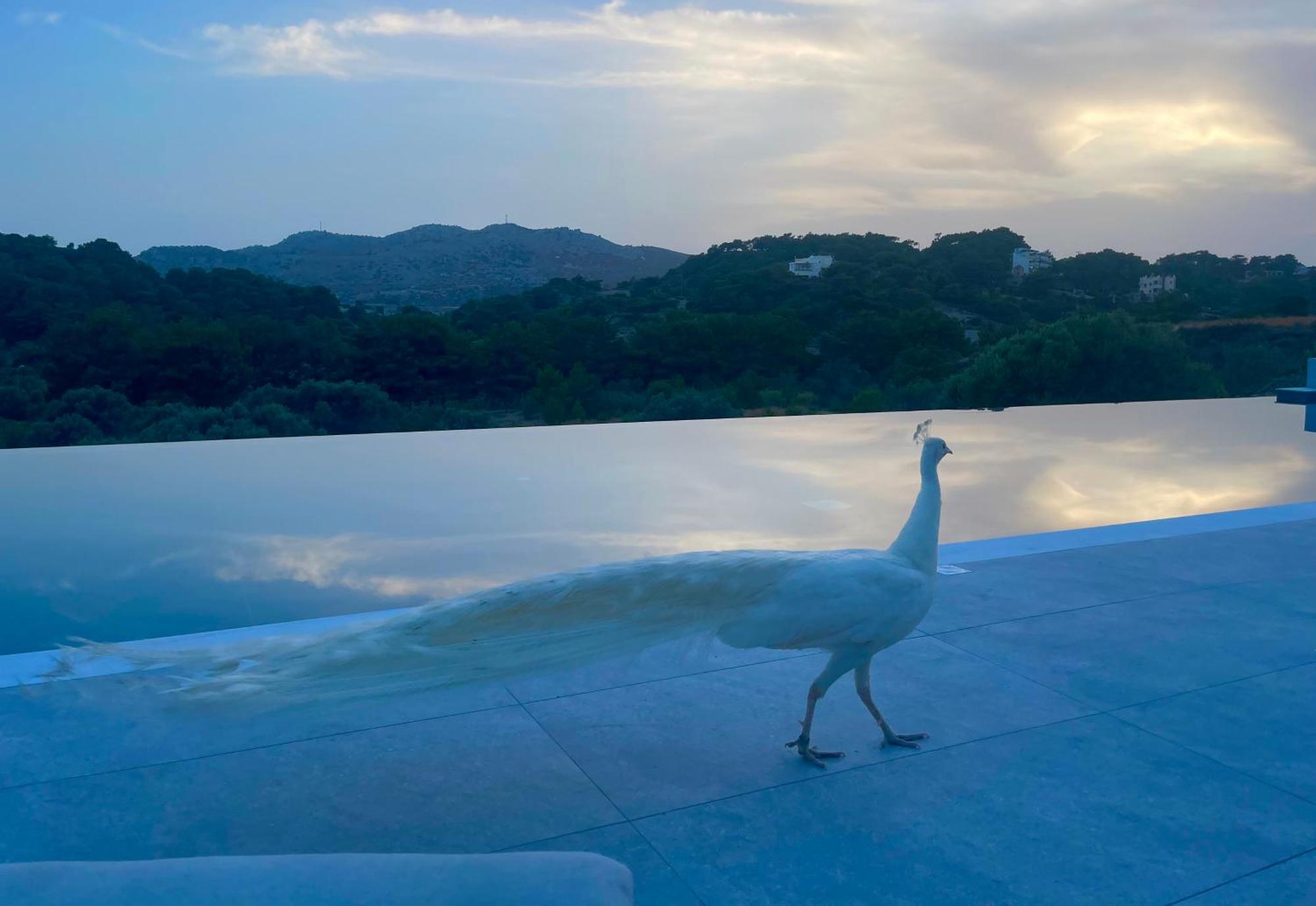 Ano Kampos Hotel Faliraki Bagian luar foto